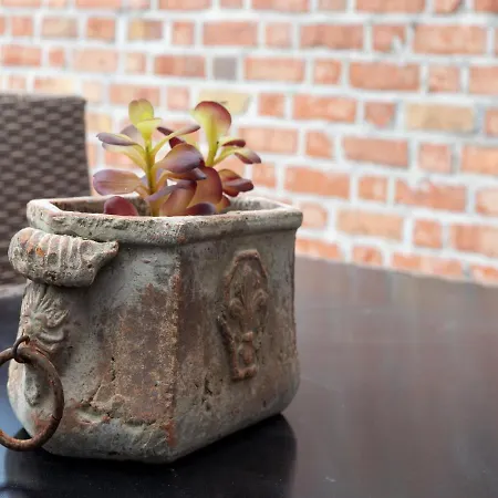 Modern W Private Yard